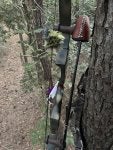 IMG_4067.jpeg