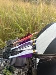 IMG_4123.jpeg
